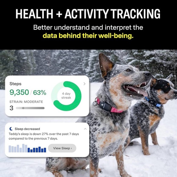 NEW IN BOX Fi Smart Dog Collar Pink Small - Picture 3 of 11